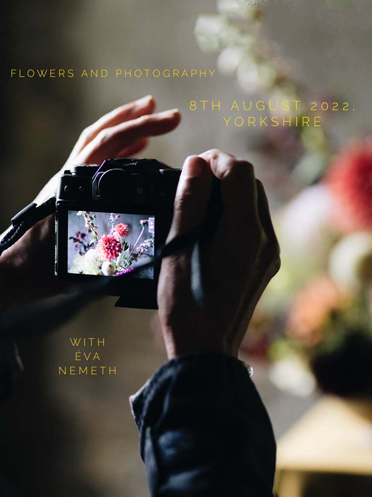 Flowers and photography Eve Nemeth Simply by Arrangement